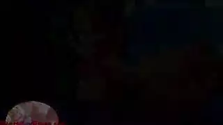 قطط ام