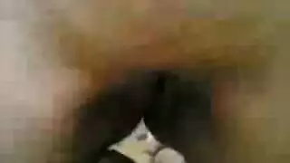 ليغانس
