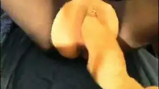 سكس حصان و حصانة