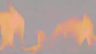 خالته سمينة