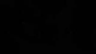 بورنو xxx: كاترينا تنتاك بقوة من نجم بوليوود شاروخان