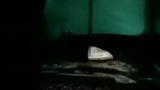 افلام لواط رجال جماعي