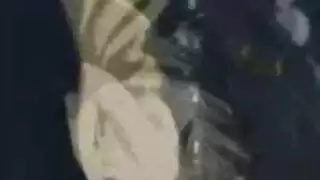صورشراميطاسكندرية