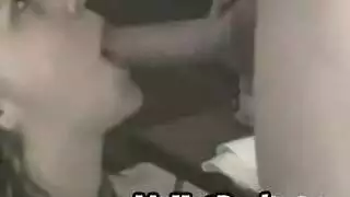 الباحة حصان
