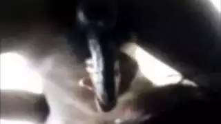 وانا سمر