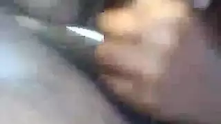 تدخل زب الحصان كامل في كسها