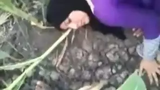 في الخلاء نصري