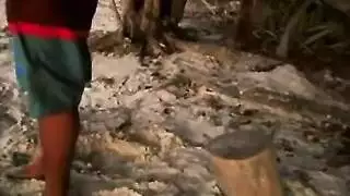مفلس الآسيوية تجميع الوجه منظف