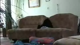 الي يريد نيك محجبات