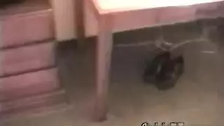 افلام اباحيه حصري مؤخره