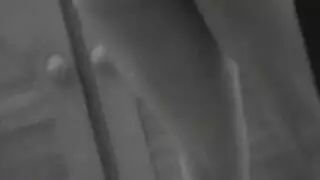 زوجتي اخي الكوري