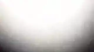 علاقة ثلاثية متوحشة: تمثيل أدوار bestiality صريح