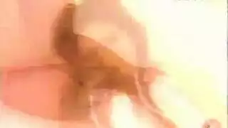 نيك شبي ورد