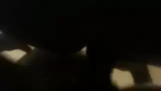 عشاق الأبنوس مستعدون للانطلاق ويظهرون خشبهم الصلب