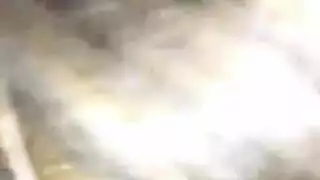 نموذج الكلبة القبض