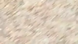دي بي غانغ بانغ: أخذ عدة أقضاب بعمق