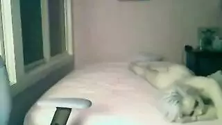 فتاة ذات صدر كبير تظهر فتحاتها لتصوير فيلم إباحي علني