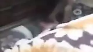 احلى رقص طيز هزازة على المهرجانات