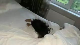قبل تلك الشفاه ثم ناك حلقها
