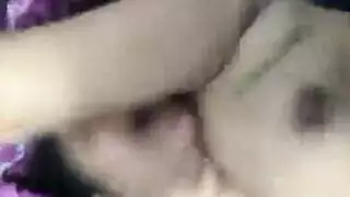 نيك حمار وحمارة