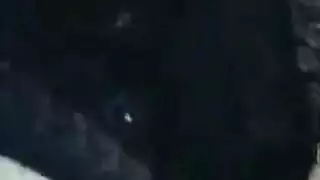 سحاق مسنات الهند