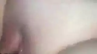 بوصة الديك جذاب اشتم