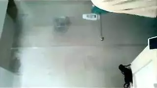ولد بنيك القرد