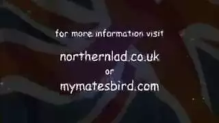 سكساباحىمصرى
