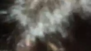 مايلي كيمي