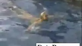 نائب الرئيس الخاص العادة السرية سولو عشيقة