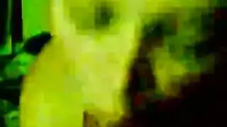 إنهن يستحقن كل فلس: حفلة جنس حصرية