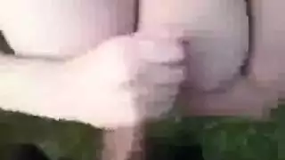 عجل مع بقره مضحك