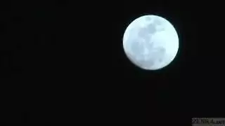 سكس مجر