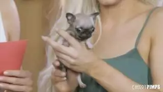 جنس تاكسي خشن: إلسا جان تأخذ عضو سائق التاكسي في موتيل سري