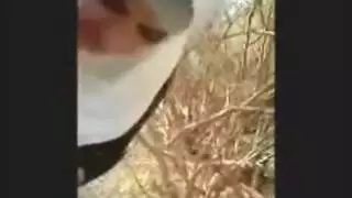 محجبه ترضع زب جارها