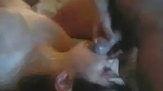 كاميرا مخفية تلتقط رغبات زوجة إسرائيلية إكس إكس إكس