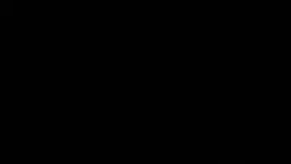 هدية زوجها فحلين