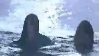 نيك كس خلفي مربربه