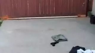 فتاة مهووسة بالزب تخدم رجلين مفتولين