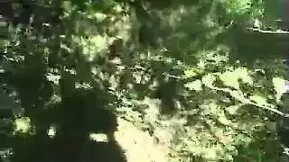 شاب سمين وحشي أوروبية