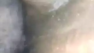 فيديو الجزيرة نيك