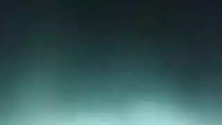 الهرة الكبيرة طعام أمريكي