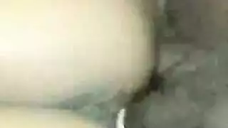 زيد روس اشقر ثمين صغير