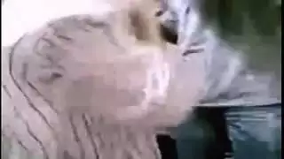 مشاهد جنس عربية محرمة بين الأخوة