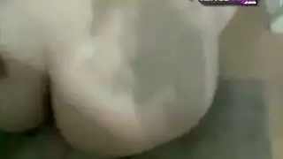 اللعنة الصعب باكستاني أرنب