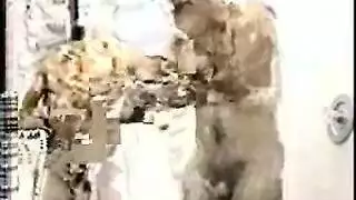 سائل منوي داخلي صريح فرج مملوء بالسائل المنوي