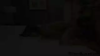 قبو الترويل يختبر