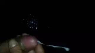 أفلام جنسية مع الحيوانات: جنون ركوب الحمار