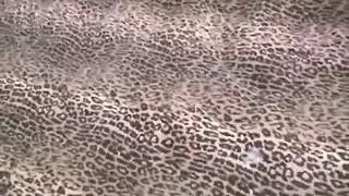 شقراوان تشاركان قضيبًا ضخمًا