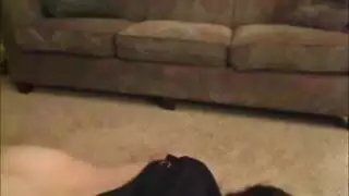 علفققب